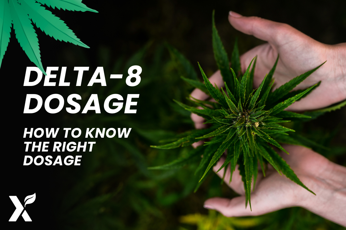 Delta 8 Dosage Chart How Much Delta 8 to Take Safely
